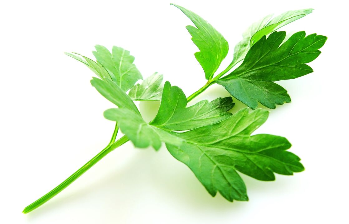 parsley for the treatment of cystitis