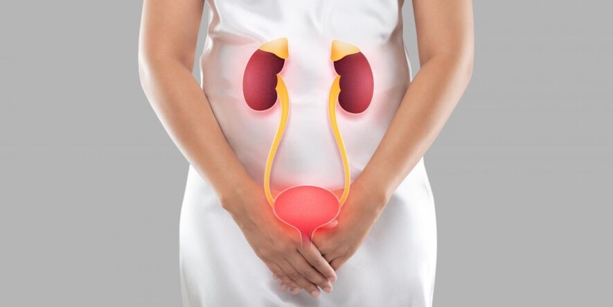 Cystitis in women is an inflammation that occurs in the tissues of the urinary bladder